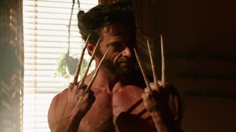 Wolverine