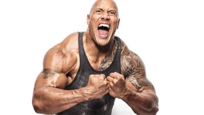 THEROCK 0a1e46bb